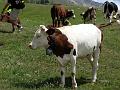 2006-07 Serre-Chevalier 069